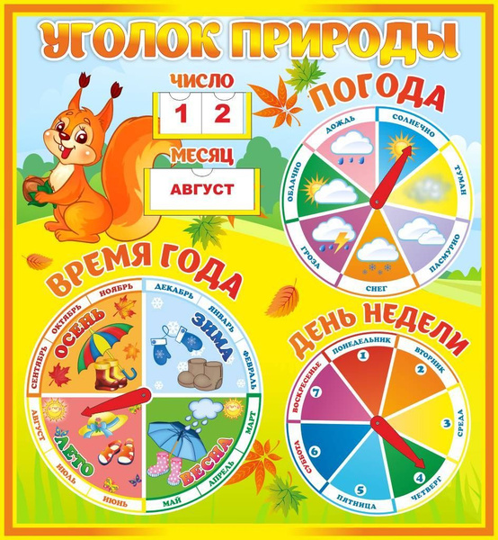 Стенд Уголок природы Бельчата - купить с доставкой по выгодным ценам в ...