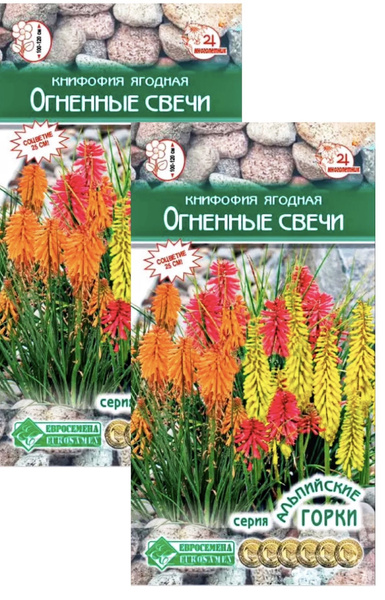 Книфофия Евросемена Растения для сада - купить по выгодным ценам в ...