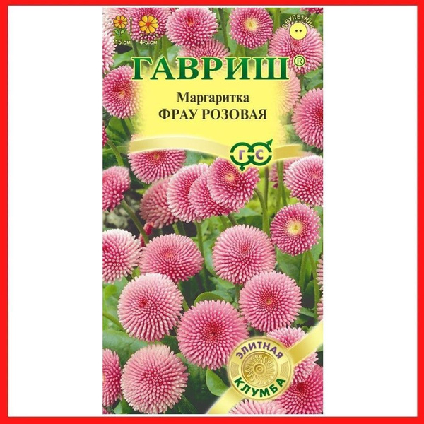 Маргаритки Гавриш Маргаритка "Бам-бам красная"_розовый - купить по ...