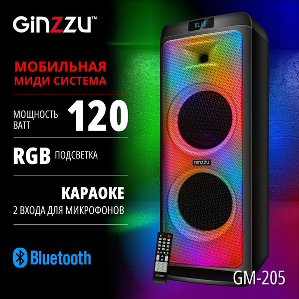 Беспроводная акустика Ginzzu GM-205, черный - купить по низким ценам в ...