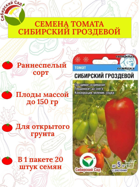 Сорт томатов французский гроздевой отзывы фото