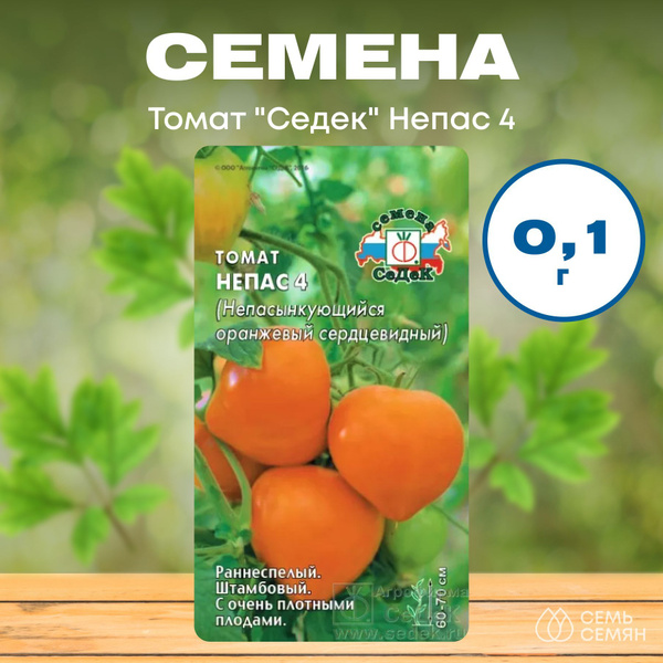 Седек Томат_ Непас 4 0,1г - купить по выгодным ценам в интернет ...