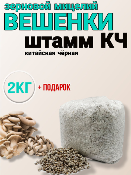 Зерновой мицелий вешенки - купить по выгодным ценам в интернет-магазине ...