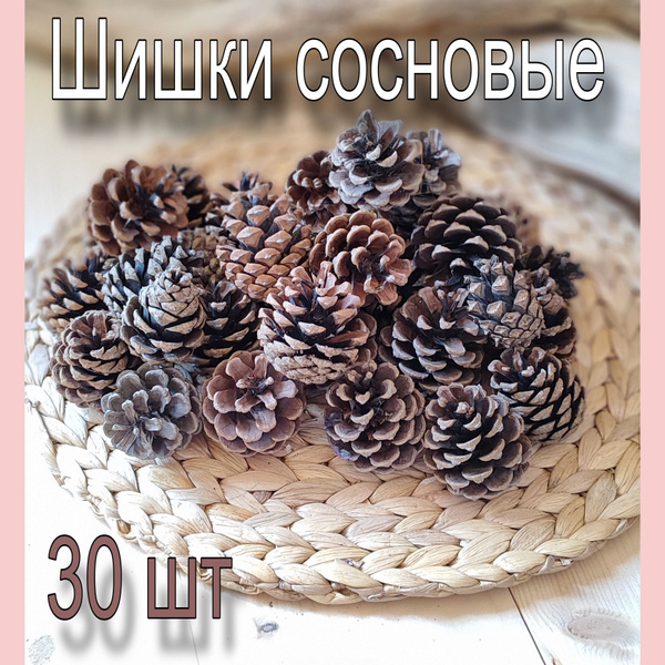Шишки Сосновые для декора и поделок, 30 шт. - купить по выгодной цене в ...