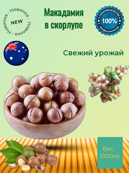 Макадамия в скорлупе 3А Scrat's Nuts, 1кг/1000г - купить с доставкой по ...