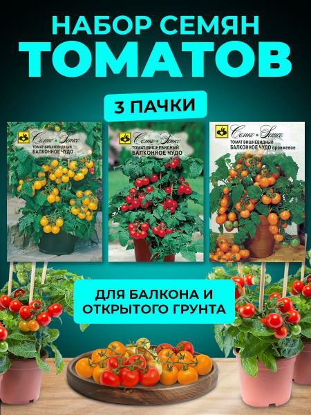 Томаты Семко набор - купить по выгодным ценам в интернет-магазине OZON ...