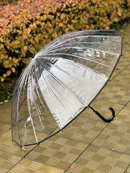 Зонт Popular Umbrella, Трость, черный, прозрачный купить c доставкой на ...