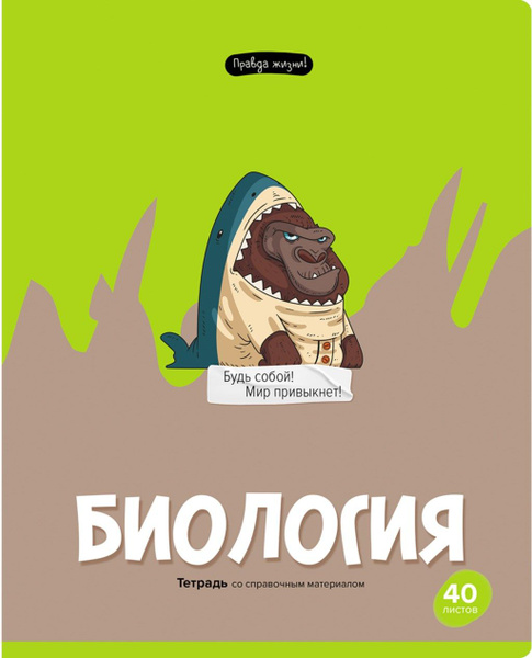 BG Тетрадь, 1 шт. купить на OZON по низкой цене (1265716330)