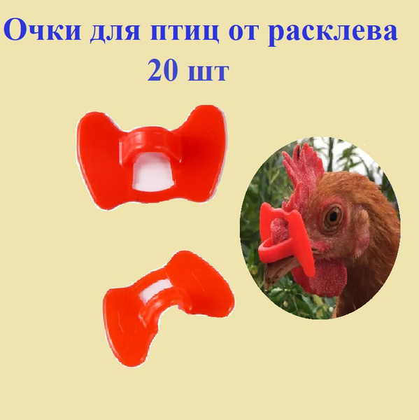 Очки без шпильки от расклева для птиц для кур фазанов петухов индюков ...