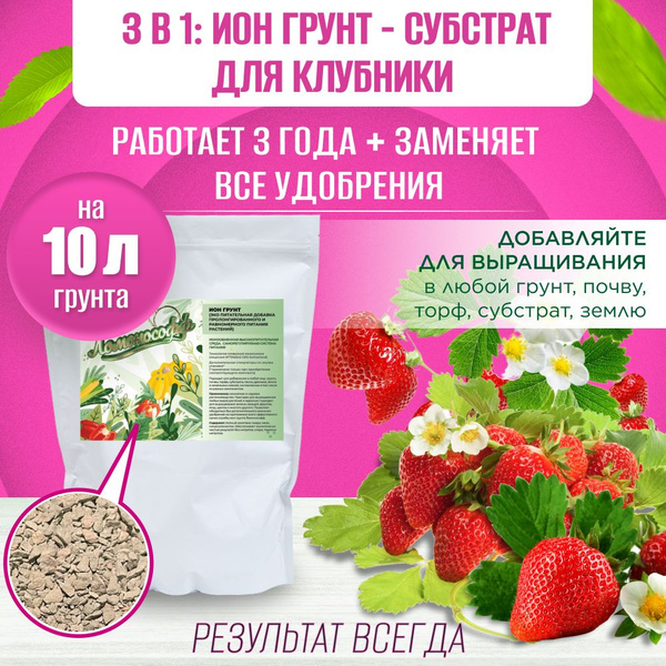 ИОН грунт для клубники земляники 0,3 кг/Питательная добавка в грунт ...