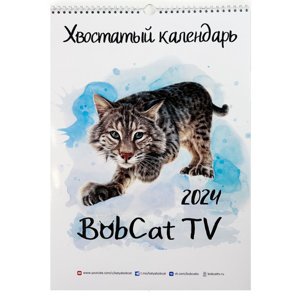 Календарь настенный 2024 "Хвостатый календарь" BobCat TV - купить с ...