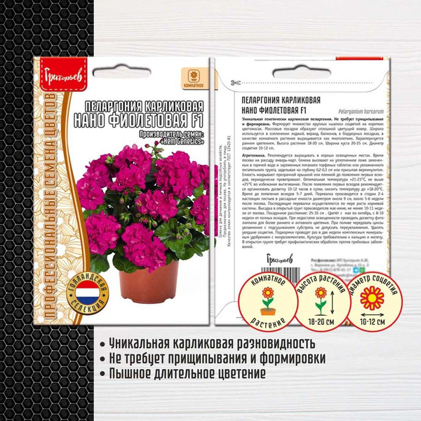 Пеларгонии (Герань) Григорьев Пеларгонии (Герань) - купить по выгодным ...