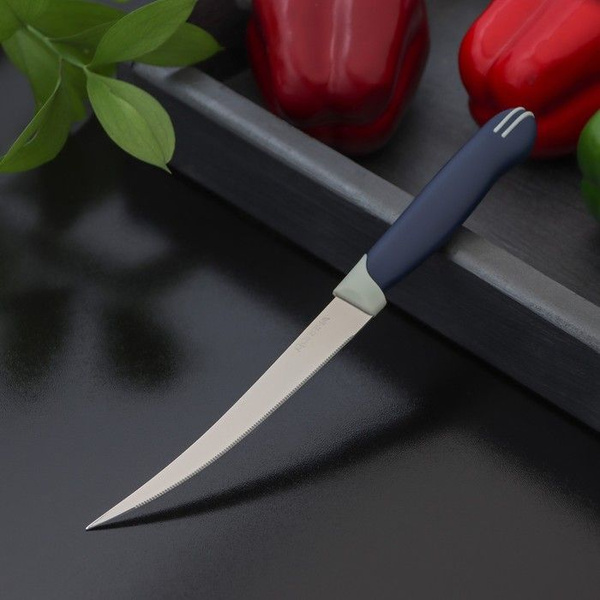 Купить Нож кухонный для цитрусовых Доляна Страйп, зубчатое лезвие 11,5 ...