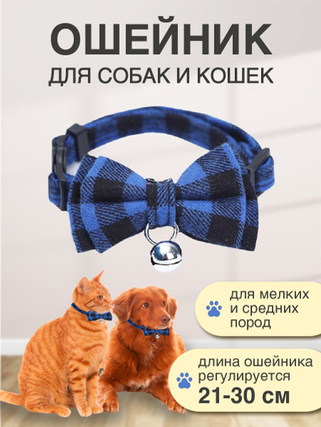 Ошейник для кошек и собак мелких пород, для кота котенка щенка ...