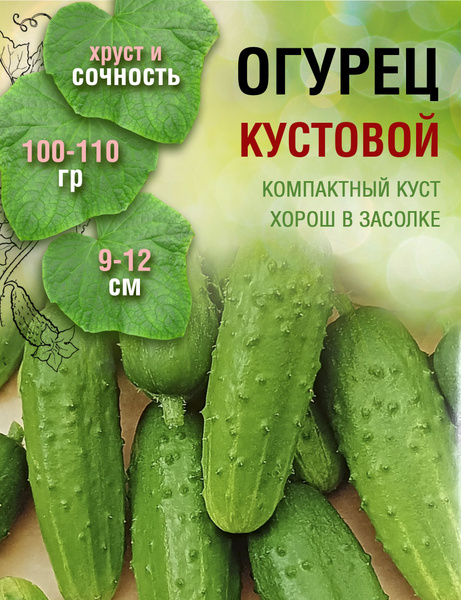 Огурцы Кустовой - купить по выгодным ценам в интернет-магазине OZON ...