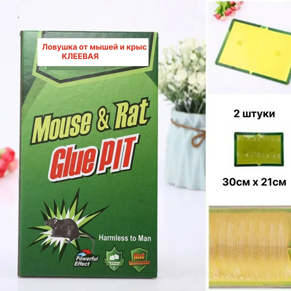 Ловушка для мышей клеевая - купить с доставкой по выгодным ценам в ...