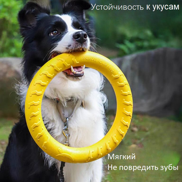 Кольцо для собак игрушечные большое, 18cm - купить с доставкой по ...