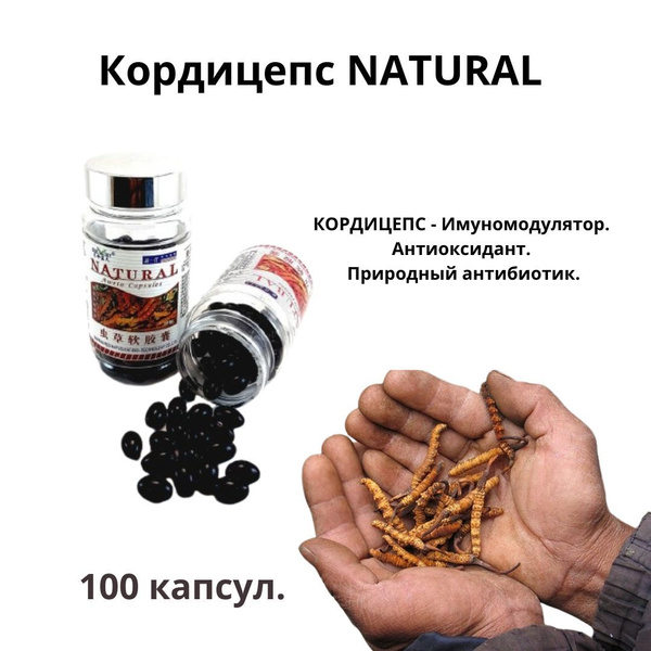 Кордицепс NATURAL в капсулах 100 шт. купить на OZON по низкой цене ...