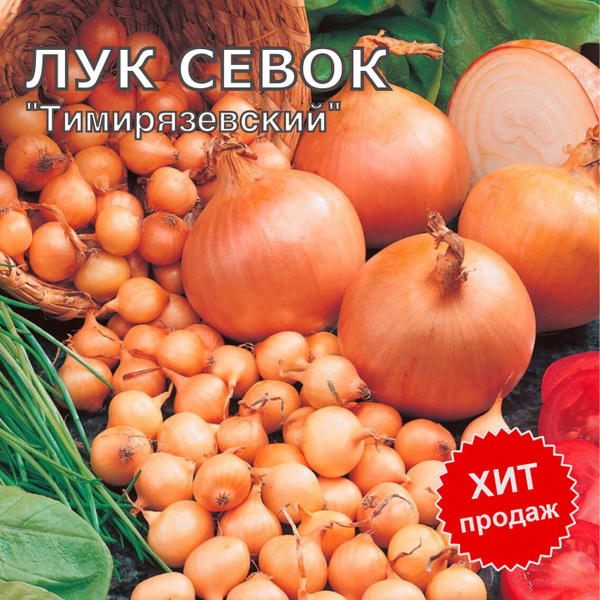 Лук севок на посадку "Тимирязевский " 1кг купить на OZON по низкой цене ...