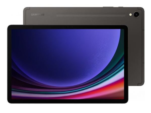 Купить планшет Samsung Galaxy Tab S9+ Wi-Fi_2523 озон 12.4", 256 GB по ...