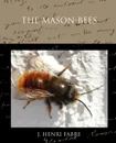 The Mason-bees - J. Henri Fabre