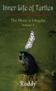 The Meter is Irregular, Volume 3 - Inner Life of Turtles - Rodney N Charles