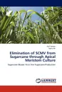 Elimination of SCMV from Sugarcane through Apical Meristem Culture - Asif Saleem, Aamir Ali