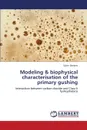 Modeling & Biophysical Characterisation of the Primary Gushing - Deckers Sylvie