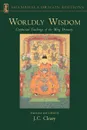 Worldly Wisdom. Confucian Teachings of the Ming Dynasty - J. C. Cleary