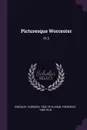 Picturesque Worcester. Pt.2 - Elbridge Kingsley, Frederick Knab