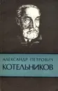 Александр Петрович Котельников - Путята Т.В., Лаптев Б.Л. И др.