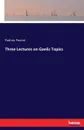 Three Lectures on Gaelic Topics - Padraic Pearse