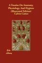 A Treatise On Anatomy, Physiology, And Hygiene (Illustrated Edition) - Calvin Cutter