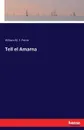 Tell el Amarna - William M. F. Petrie