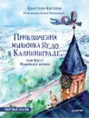 Приключения мышонка Недо в Калининграде, или квест мышиного короля. Полезные сказки - Кристина Кретова, Наталья Романькова