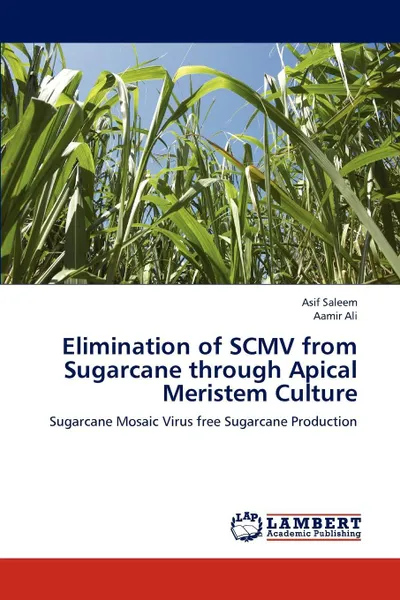 Обложка книги Elimination of SCMV from Sugarcane through Apical Meristem Culture, Asif Saleem, Aamir Ali