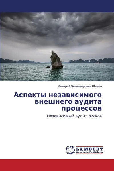 Обложка книги Aspekty nezavisimogo vneshnego audita protsessov, Shamin Dmitriy Vladimirovich