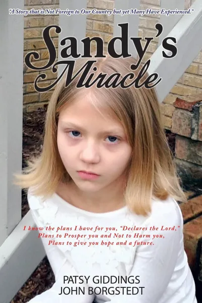 Обложка книги Sandy's Miracle, Patsy Giddings, John Borgstedt