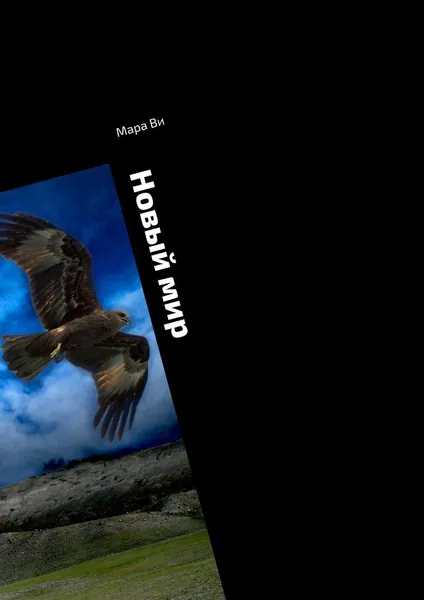 Обложка книги Новый мир, Мара Ви