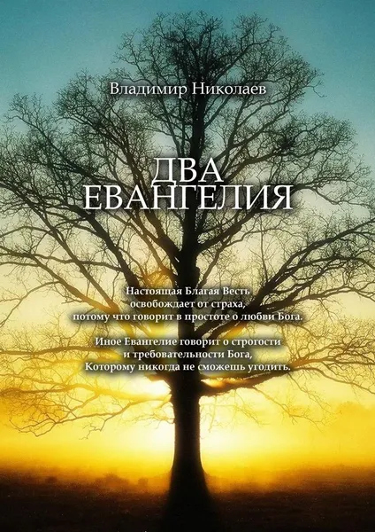 Обложка книги Два Евангелия, Владимир Николаев