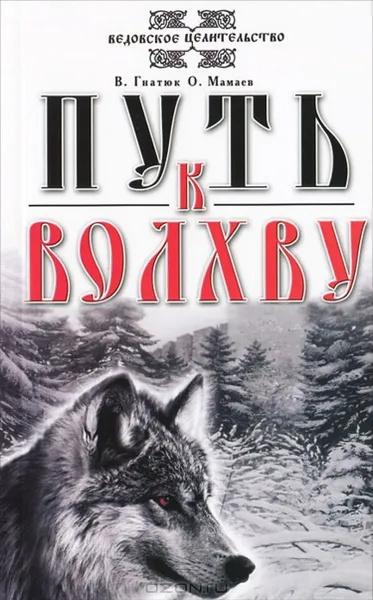 Обложка книги Путь к Волхву., Гнатюк В., Мамаев О.