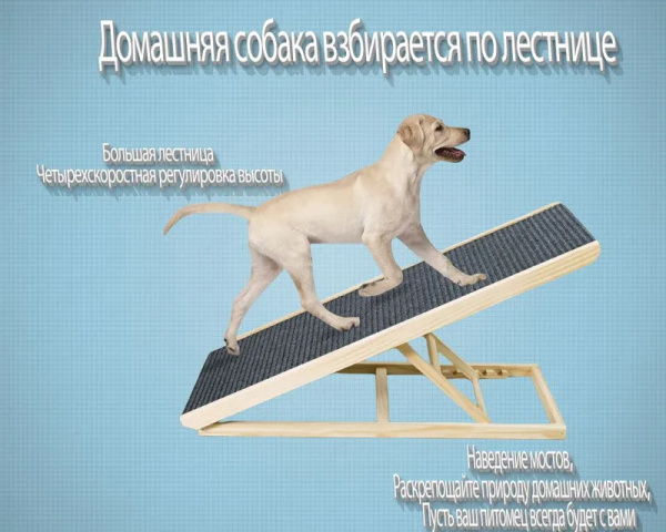 лестница для собак прикроватная,пандус для собак,Переносная складная ...