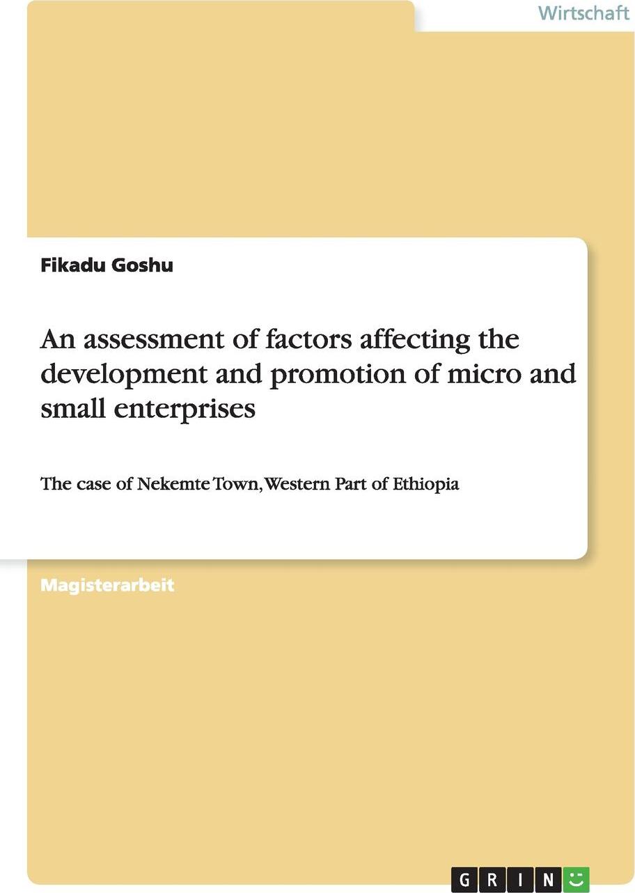 фото An assessment of factors affecting the development and promotion of micro and small enterprises