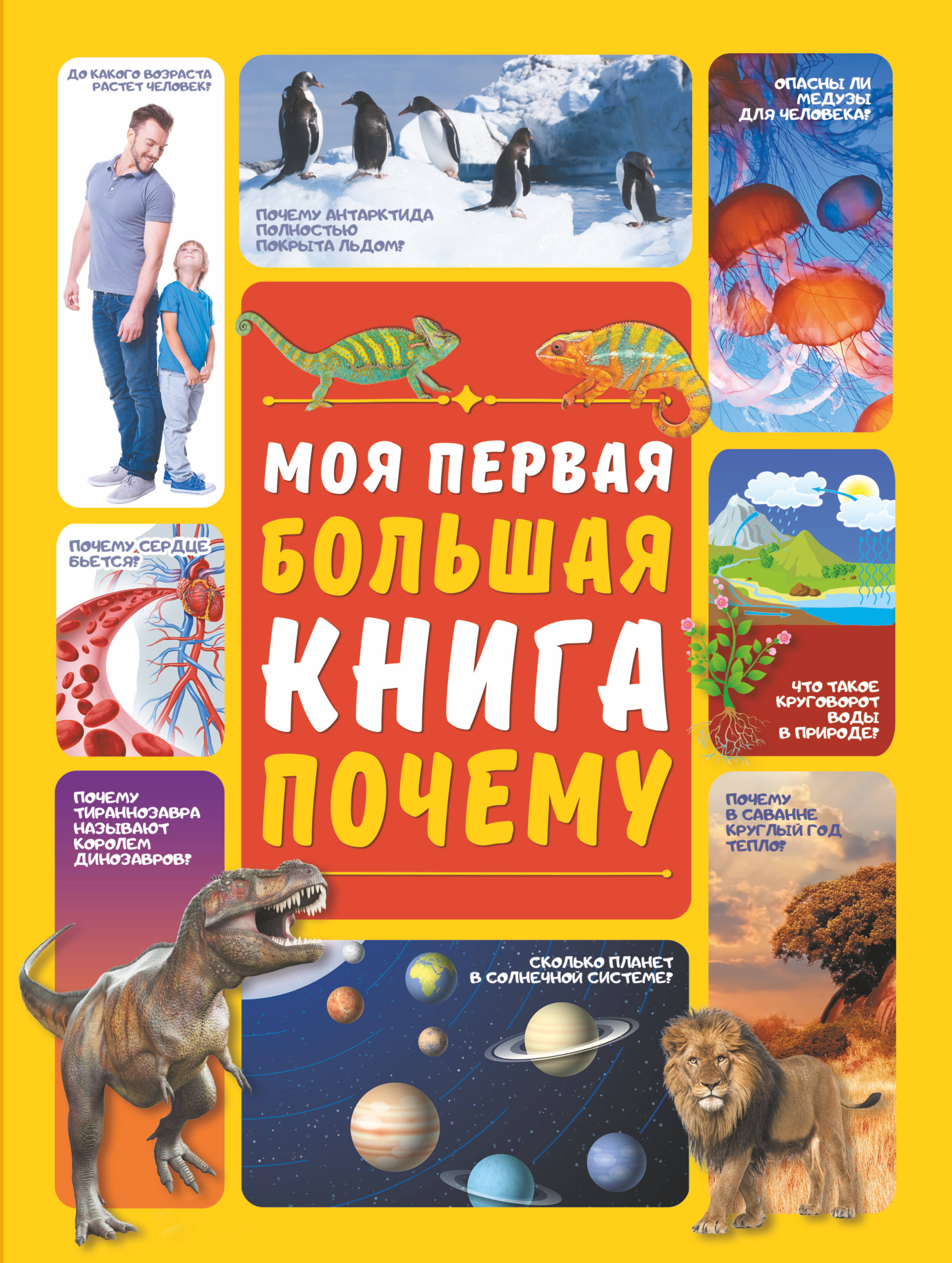 Большая книга. Большая книга «почему». Моя большая книга. Детские научно популярные книги.