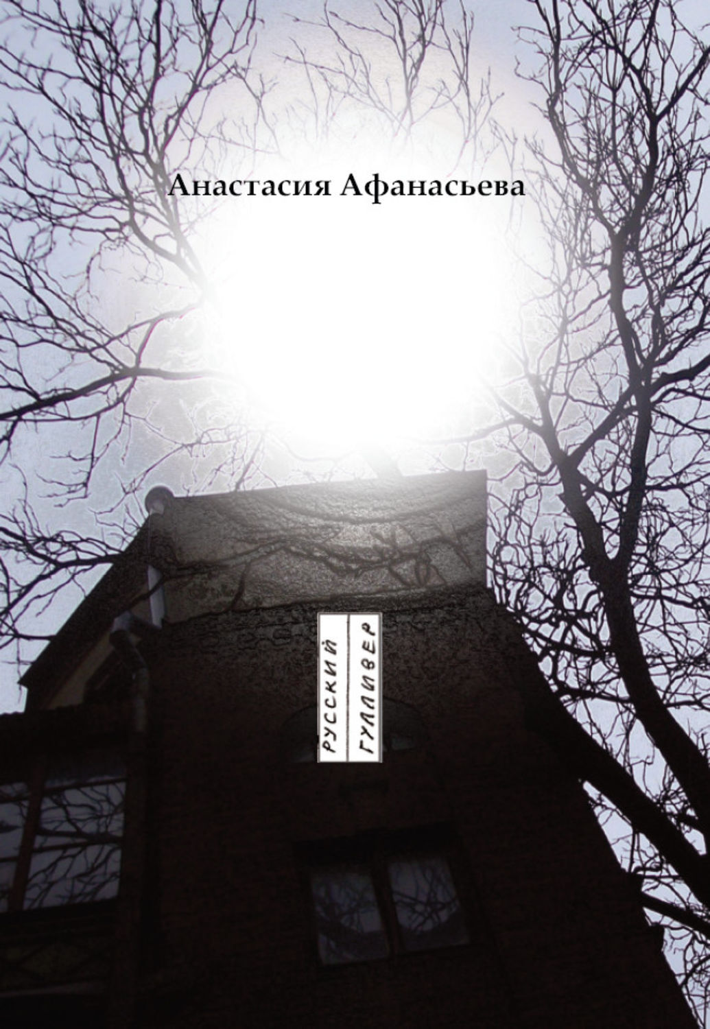 Цифровая книга "Полый шар" Афанасьева Анастасия – купить книгу ISBN 978 ...