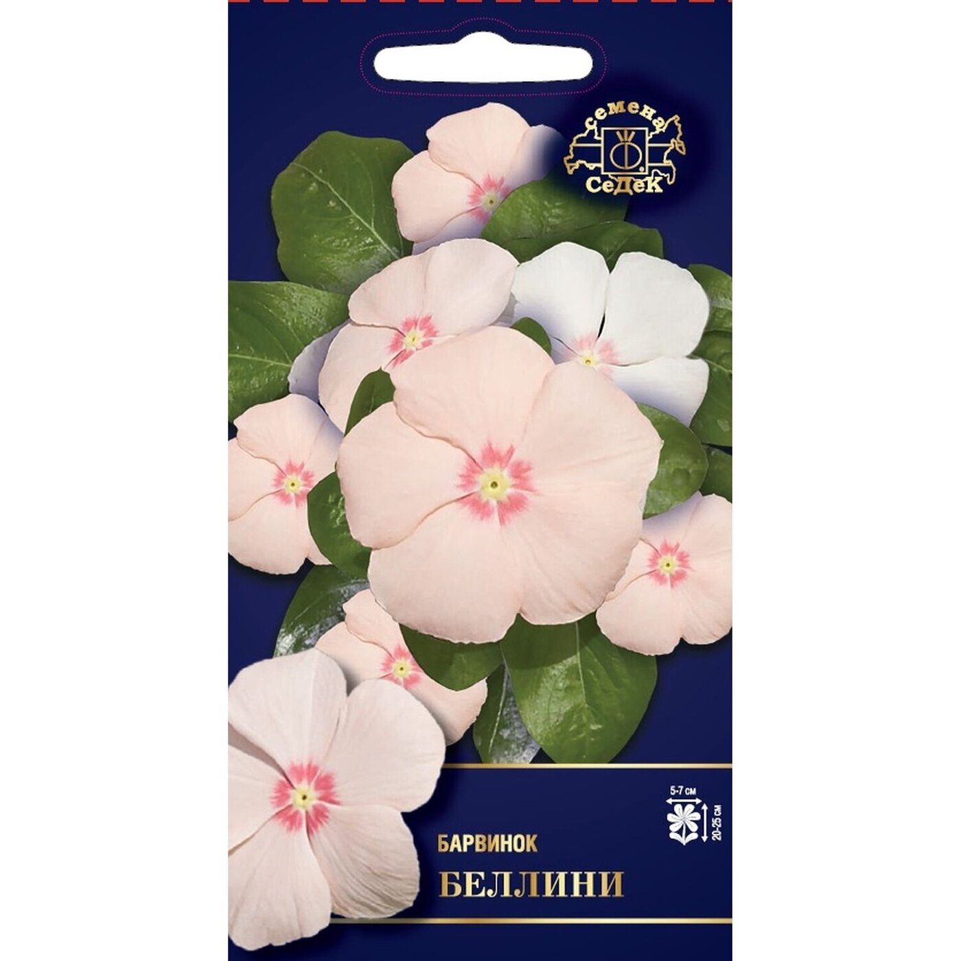 Барвинок Семена Купить В Москве