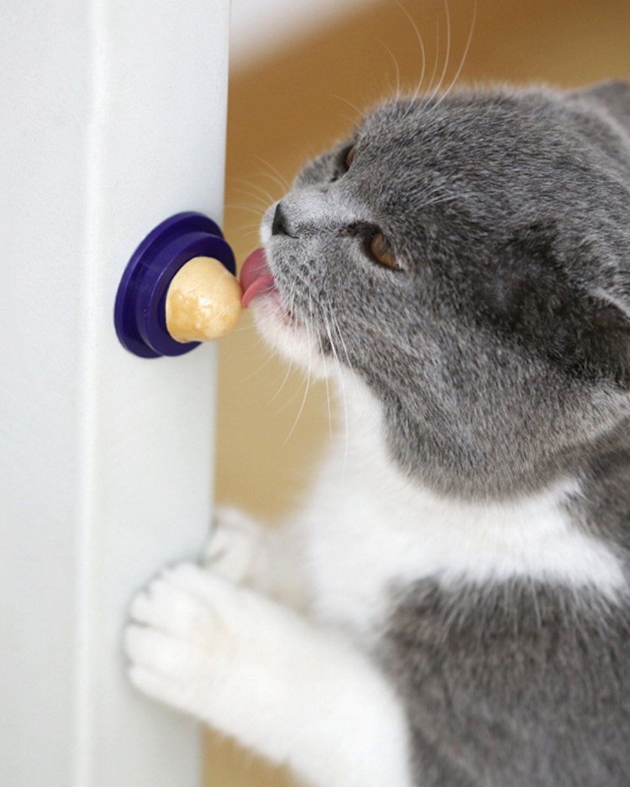 Лакомство для кошек с кошачьей мятой и витаминами. - характеристики, фото и...