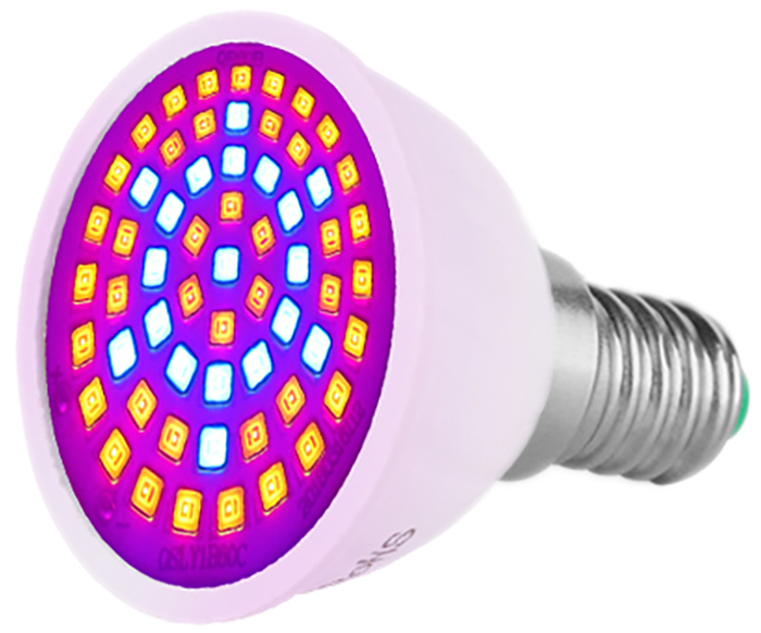 Maple lamp. Мапле лампа rs 41-01. Flora lamp е14. Фитолента gsmin b75 bt893550 6 вт 300 см. Maple lamp.