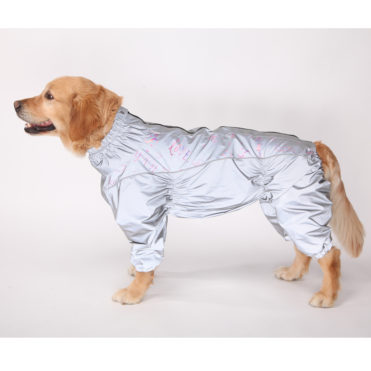 Дождевик для собак средних пород. Chill Choll одежда для собак.