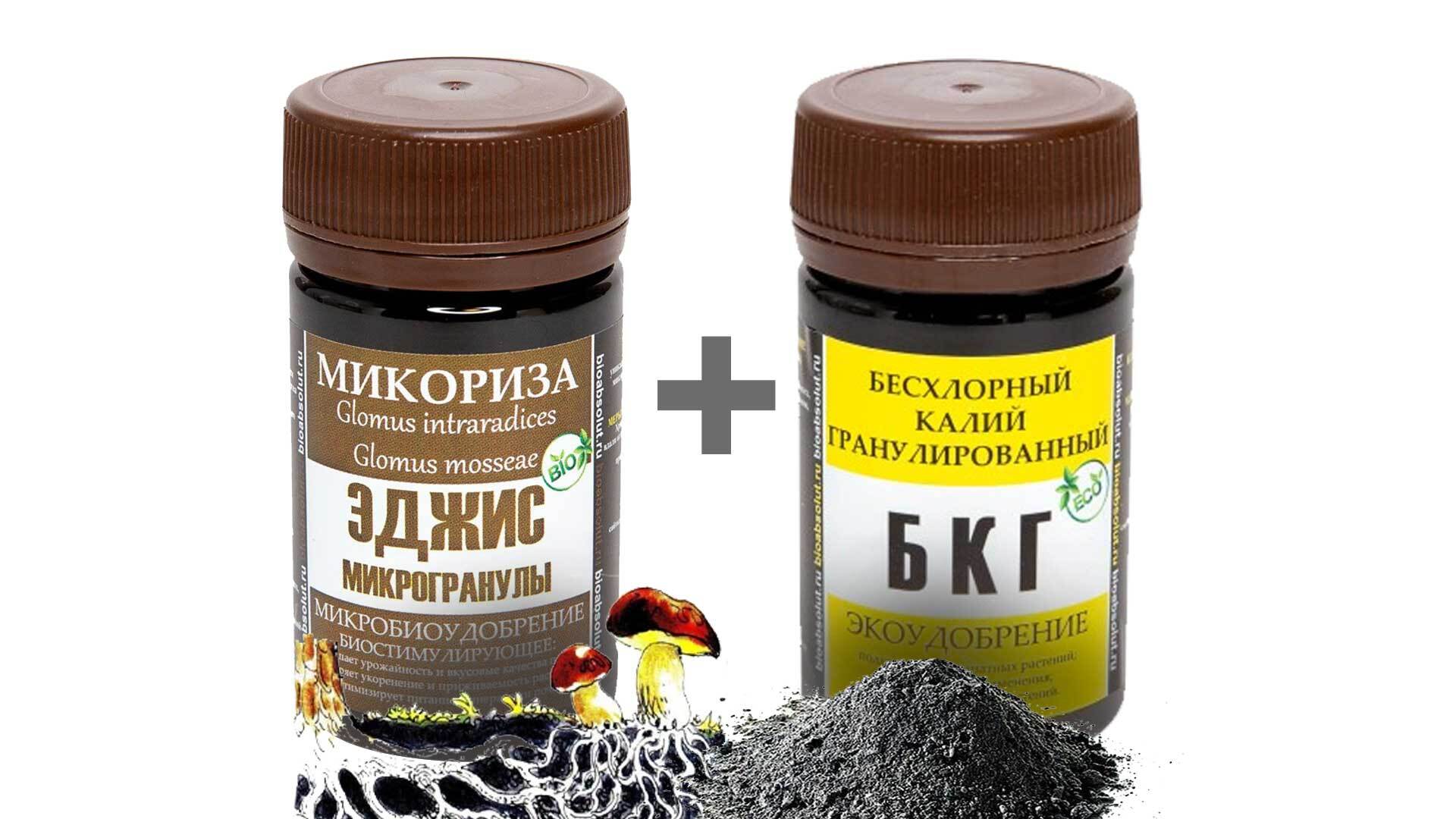 Мл плюс Мл плюс